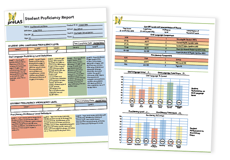 pre-student-prof-report
